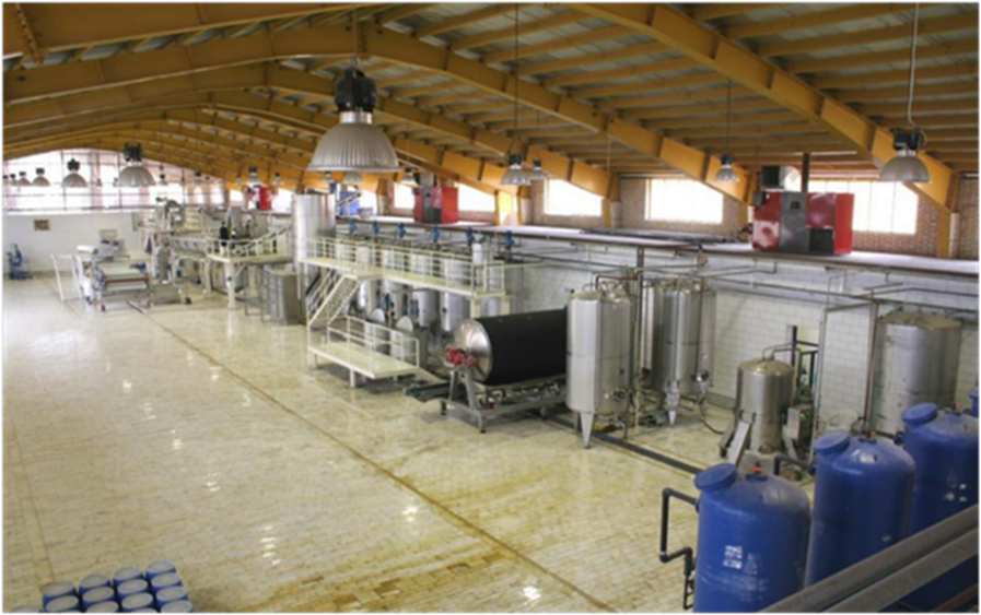 State-of-the-Art Sugar Manufacturing | Turkey
